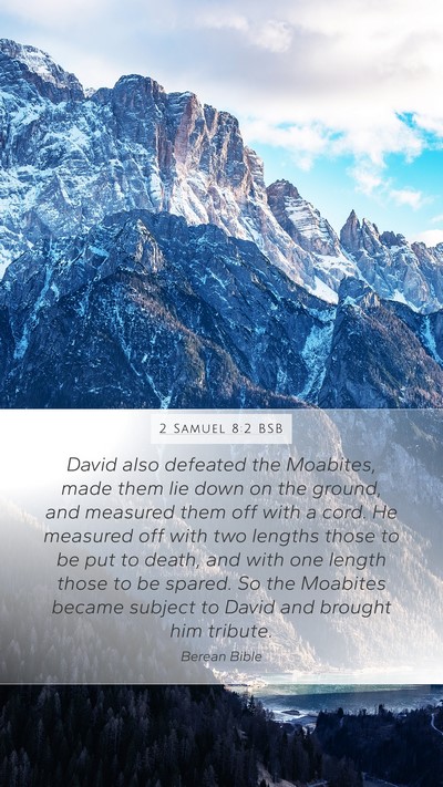 2 Samuel 8:2 BSB Bible Verse Image