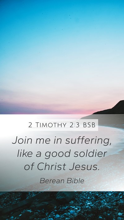 2 Timothy 2:3 BSB Bible Verse Image