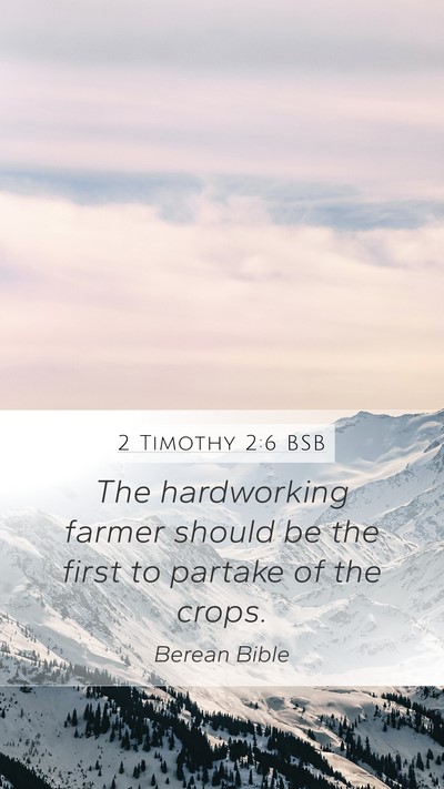 2 Timothy 2:6 BSB Bible Verse Image