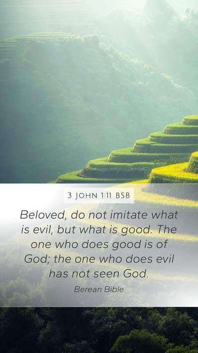 3 John 1:11 BSB Bible Verse Image