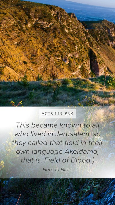 Acts 1:19 BSB Bible Verse Image