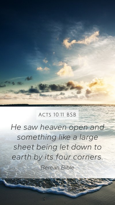 Acts 10:11 BSB Bible Verse Image