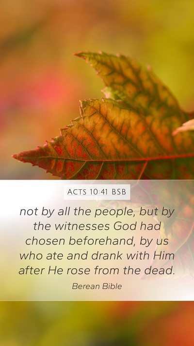 Acts 10:41 BSB Bible Verse Image