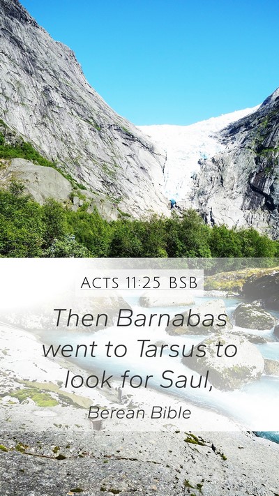 Acts 11:25 BSB Bible Verse Image