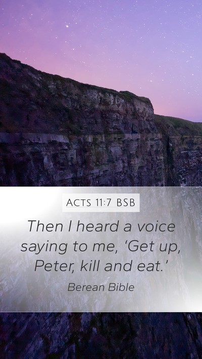 Acts 11:7 BSB Mobile Phone Wallpaper - Then I heard a voice saying to me, ‘Get up, - Mobile Bible Verse Wallpaper