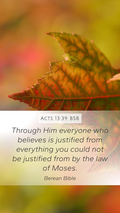 Acts 13:39 BSB Bible Verse Image