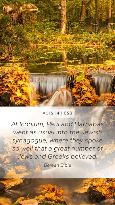 Acts 14:1 BSB Bible Verse Image