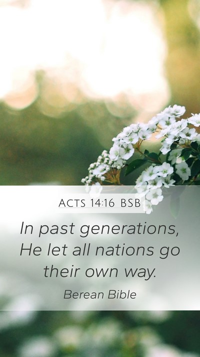 Acts 14:16 BSB Bible Verse Image