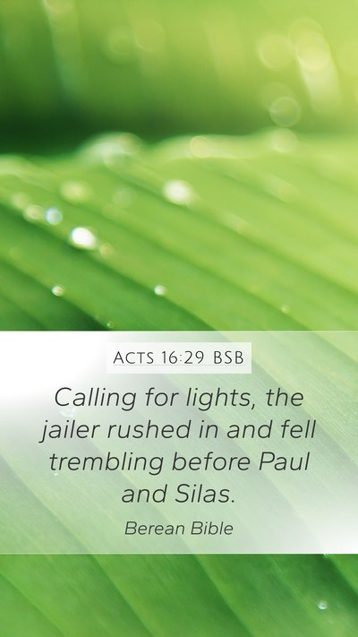Acts 16:29 BSB Bible Verse Image