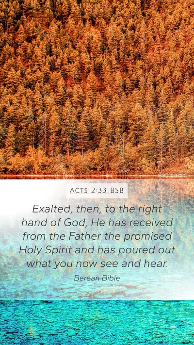 Acts 2:33 BSB Bible Verse Image