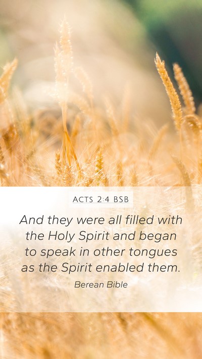 Acts 2:4 BSB Bible Verse Image