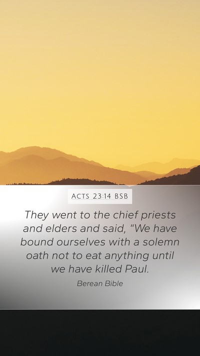 Acts 23:14 BSB Bible Verse Image