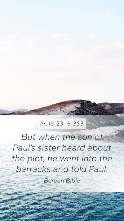 Acts 23:16 BSB Bible Verse Image