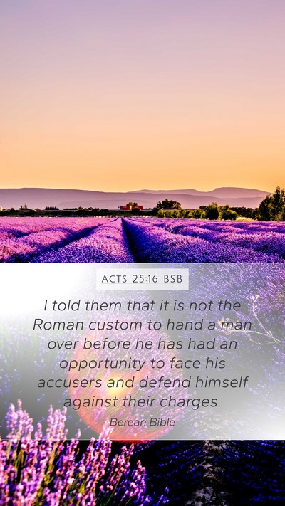 Acts 25:16 BSB Bible Verse Image