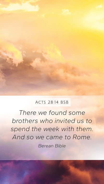 Acts 28:14 BSB Bible Verse Image