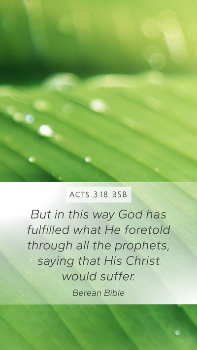 Acts 3:18 BSB Bible Verse Image