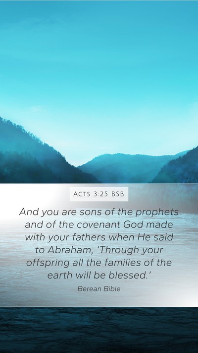 Acts 3:25 BSB Bible Verse Image