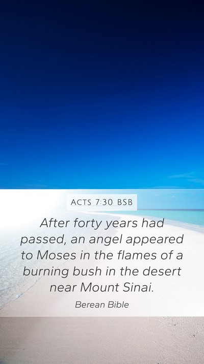 Acts 7:30 BSB Bible Verse Image