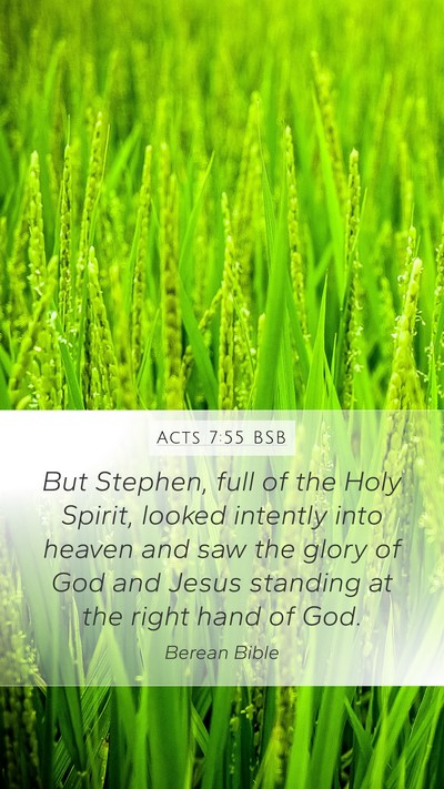 Acts 7:55 BSB Bible Verse Image