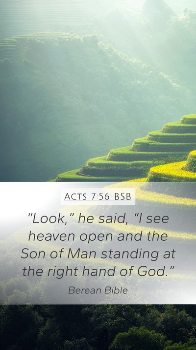 Acts 7:56 BSB Bible Verse Image