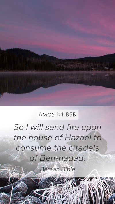 Amos 1:4 BSB Bible Verse Image
