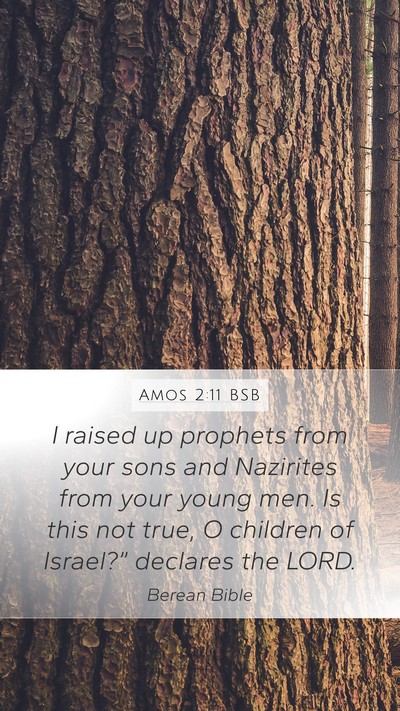 Amos 2:11 BSB Bible Verse Image