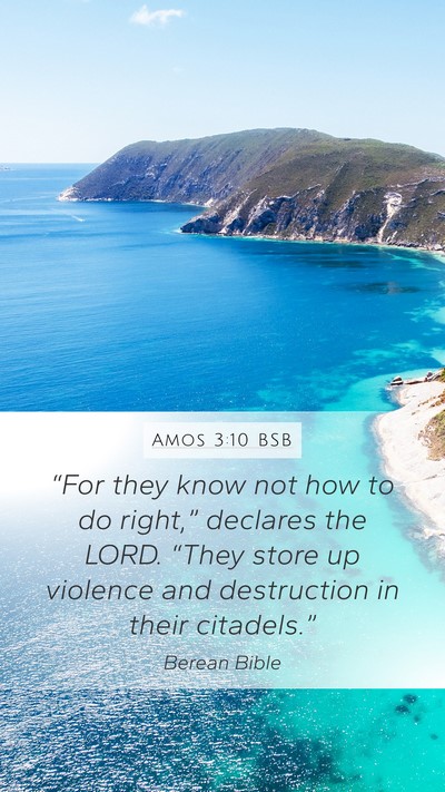 Amos 3:10 BSB Bible Verse Image