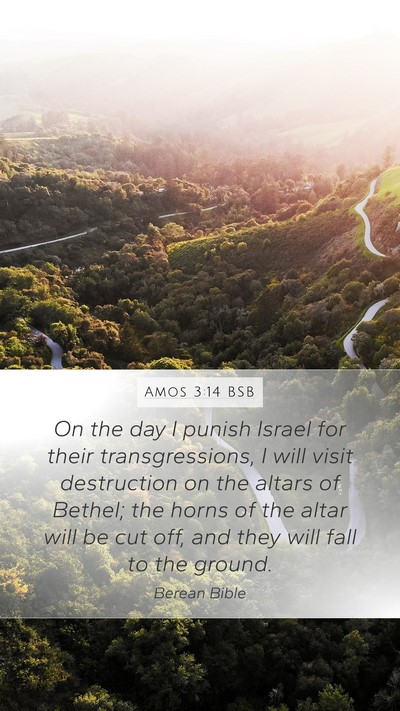 Amos 3:14 BSB Bible Verse Image