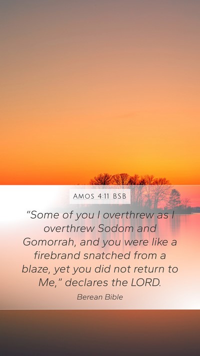 Amos 4:11 BSB Bible Verse Image