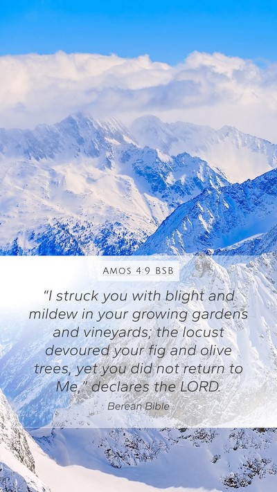Amos 4:9 BSB Bible Verse Image