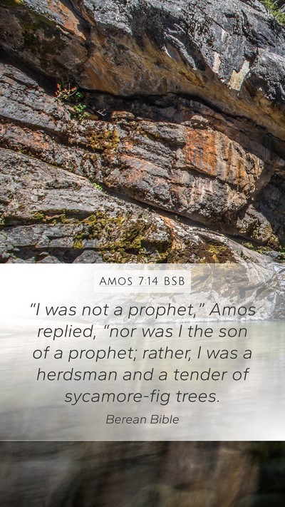 Amos 7:14 BSB Bible Verse Image