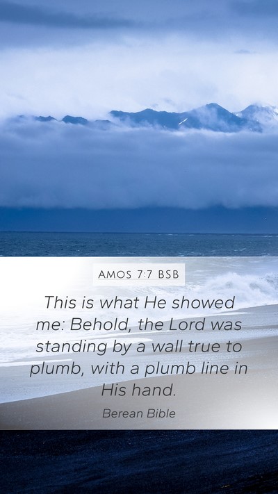 Amos 7:7 BSB Bible Verse Image