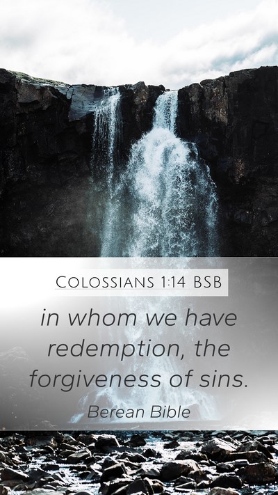 Colossians 1:14 BSB Bible Verse Image