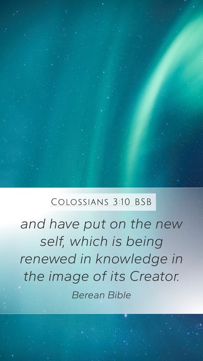 Colossians 3:10 BSB Bible Verse Image