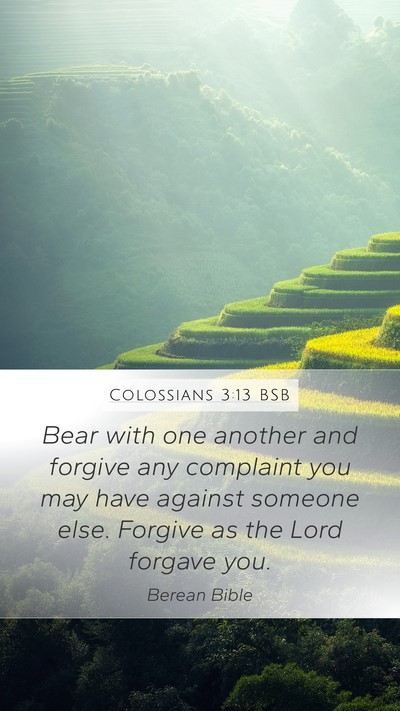 Colossians 3:13 BSB Bible Verse Image