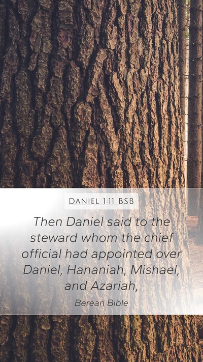 Daniel 1:11 BSB Bible Verse Image