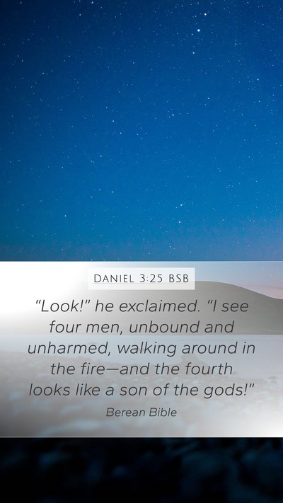 Daniel 3:25 BSB Bible Verse Image