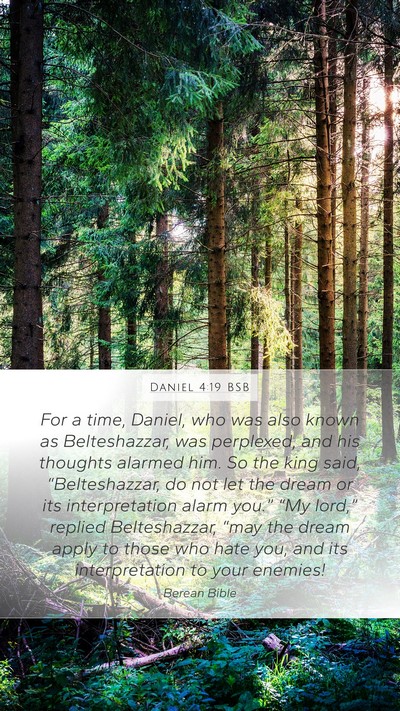 Daniel 4:19 BSB Bible Verse Image