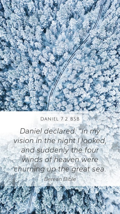 Daniel 7:2 BSB Bible Verse Image
