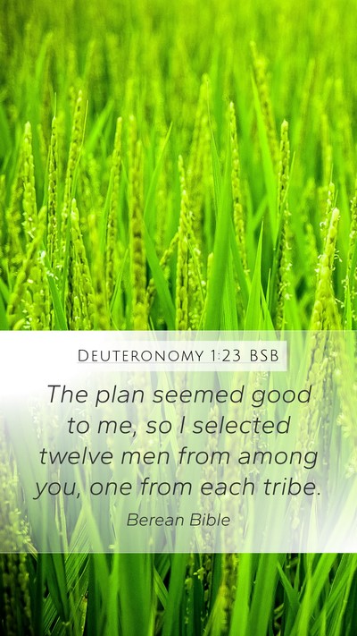 Deuteronomy 1:23 BSB Bible Verse Image