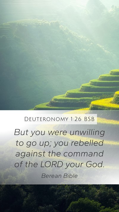 Deuteronomy 1:26 BSB Mobile Phone Wallpaper - But you were unwilling to go up; you rebelled - Mobile Bible Verse Wallpaper
