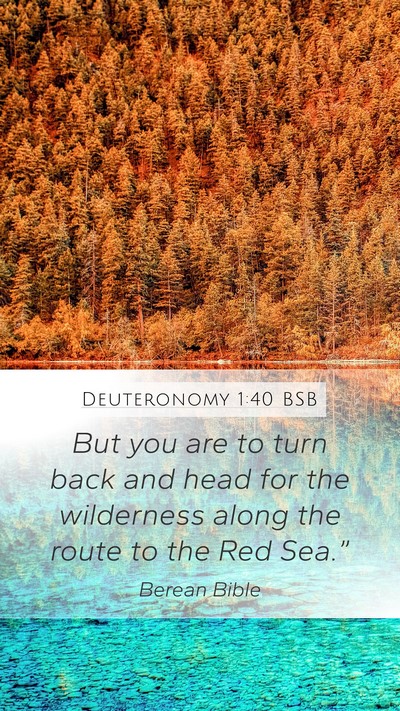 Deuteronomy 1:40 BSB Bible Verse Image