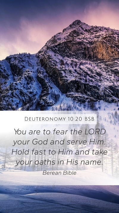 Deuteronomy 10:20 BSB Bible Verse Image