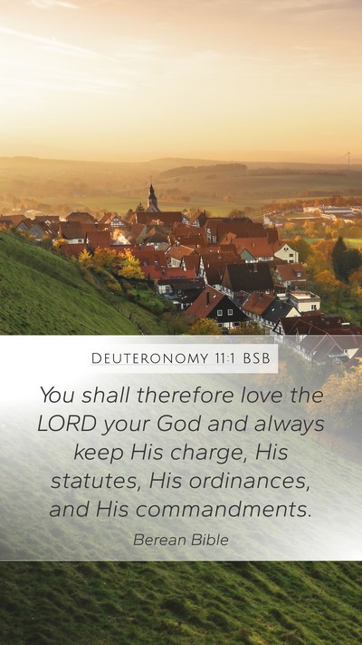 Deuteronomy 11:1 BSB Mobile Phone Wallpaper - You shall therefore love the LORD your God and - Mobile Bible Verse Wallpaper