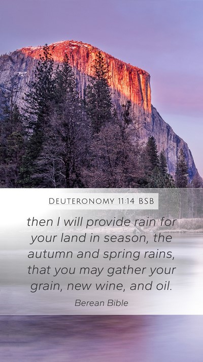 Deuteronomy 11:14 BSB Bible Verse Image