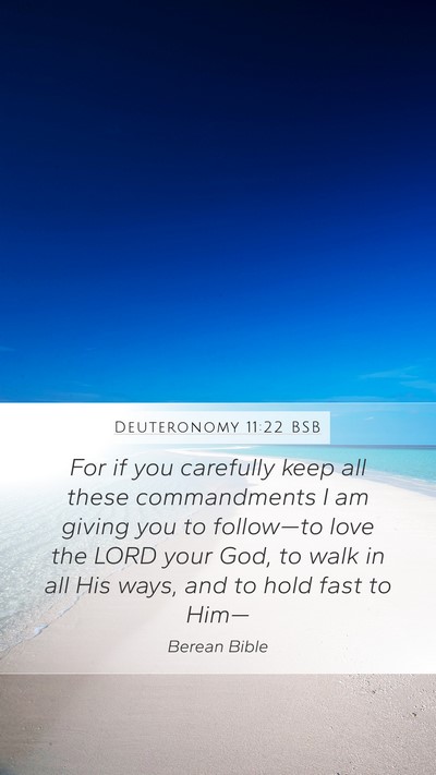 Deuteronomy 11:22 BSB Bible Verse Image