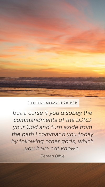 Deuteronomy 11:28 BSB Bible Verse Image
