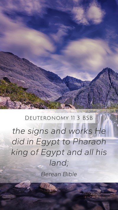 Deuteronomy 11:3 BSB Mobile Phone Wallpaper - the signs and works He did in Egypt to Pharaoh - Mobile Bible Verse Wallpaper