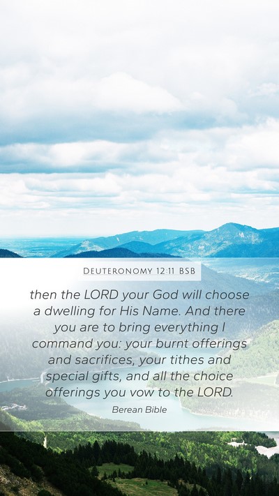 Deuteronomy 12:11 BSB Bible Verse Image