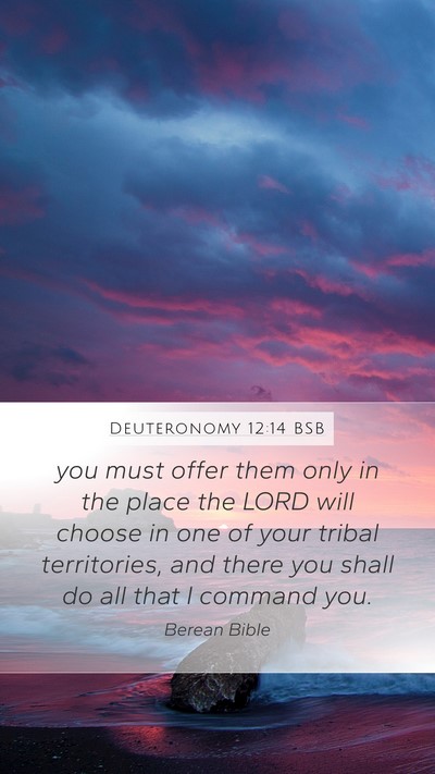 Deuteronomy 12:14 BSB Bible Verse Image